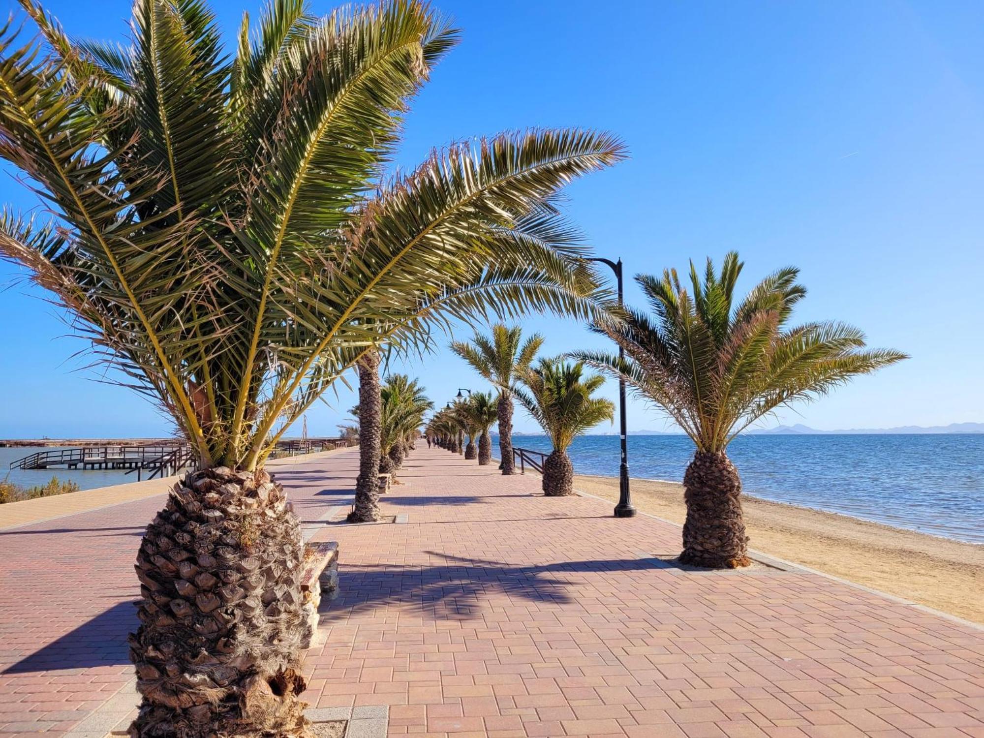 Apartament Casa La Palmera Sunrise San Pedro del Pinatar Zewnętrze zdjęcie